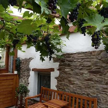 Haus Mosel-oase Apartment *