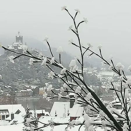 Haus Mosel-oase * Cochem